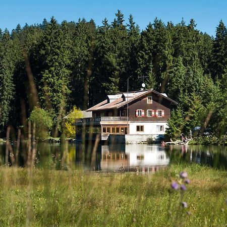 Haus Schreieck Klaudia Appartement Höfen Buitenkant foto
