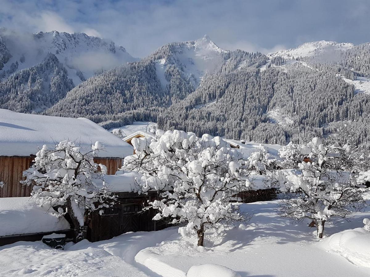Haus Schreieck Klaudia Appartement Höfen Buitenkant foto