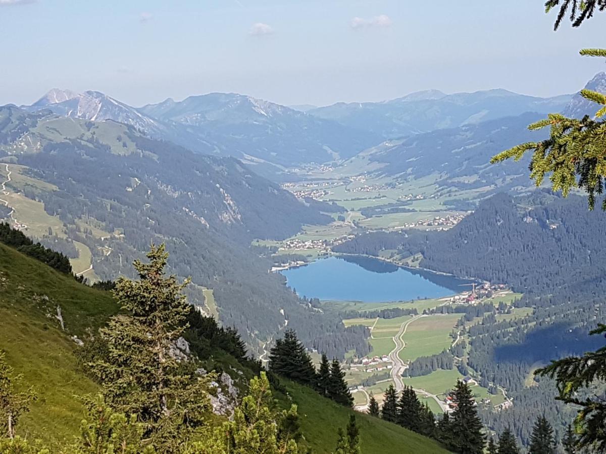 Haus Schreieck Klaudia Appartement Höfen Buitenkant foto